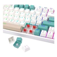 653992 504795 03 front comping