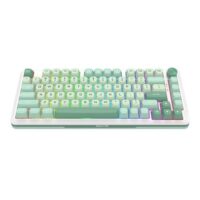 681509 715722 02 front comping